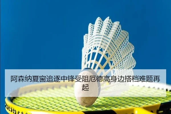 阿森纳夏窗追逐中锋受阻厄德高身边搭档难题再起